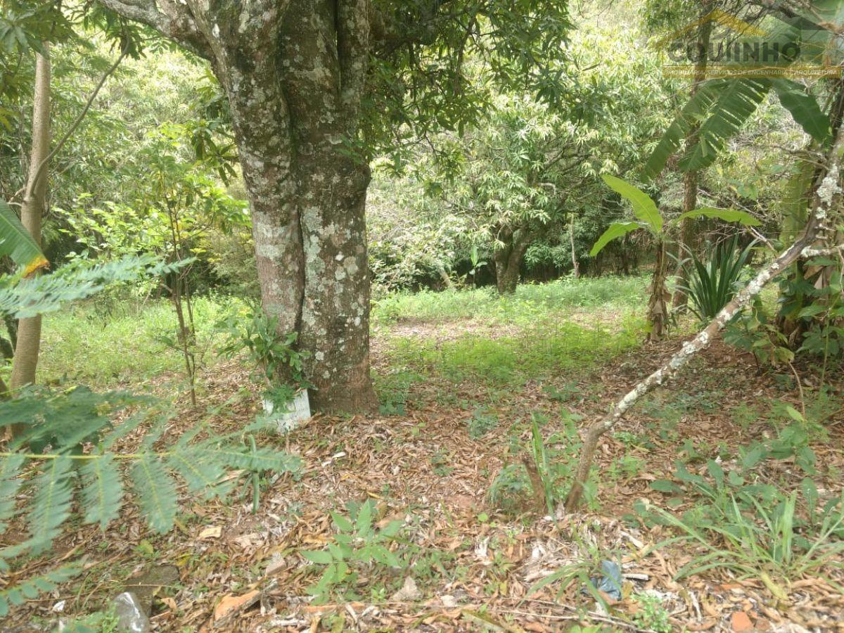 WhatsApp Image 2025-12-19 at 16.42.47.jpeg